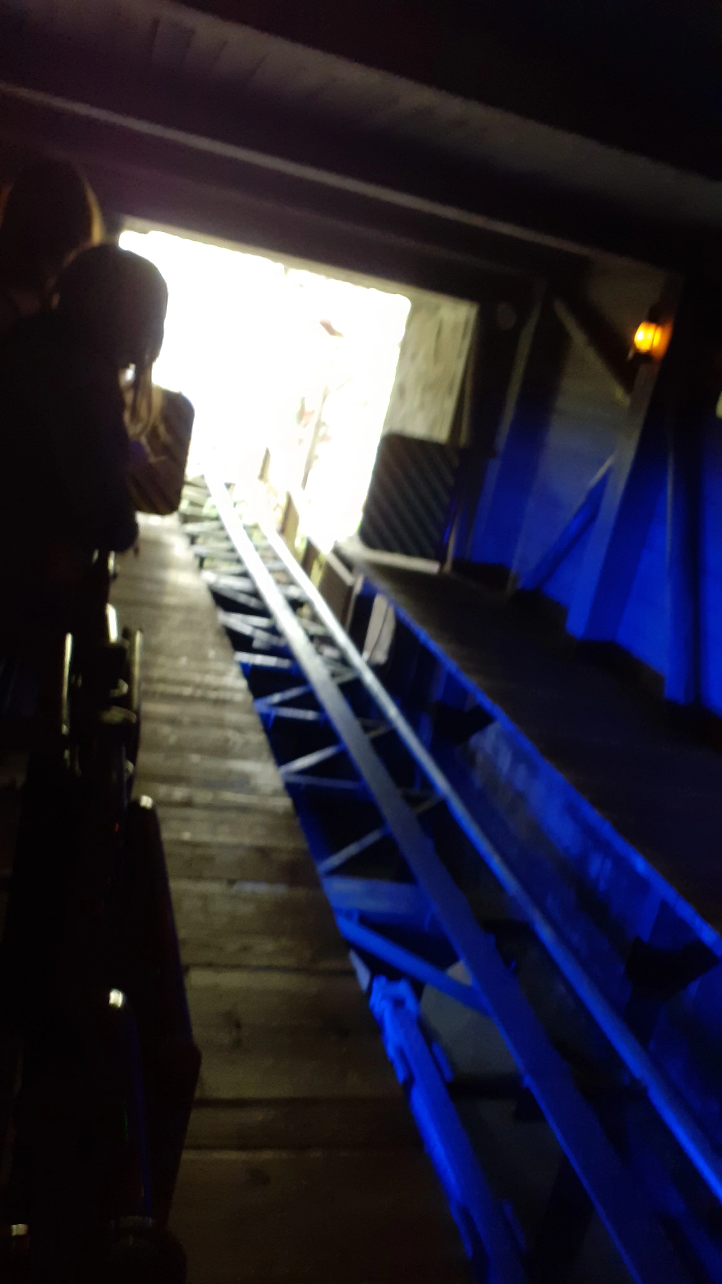 20250427_123051.webp
