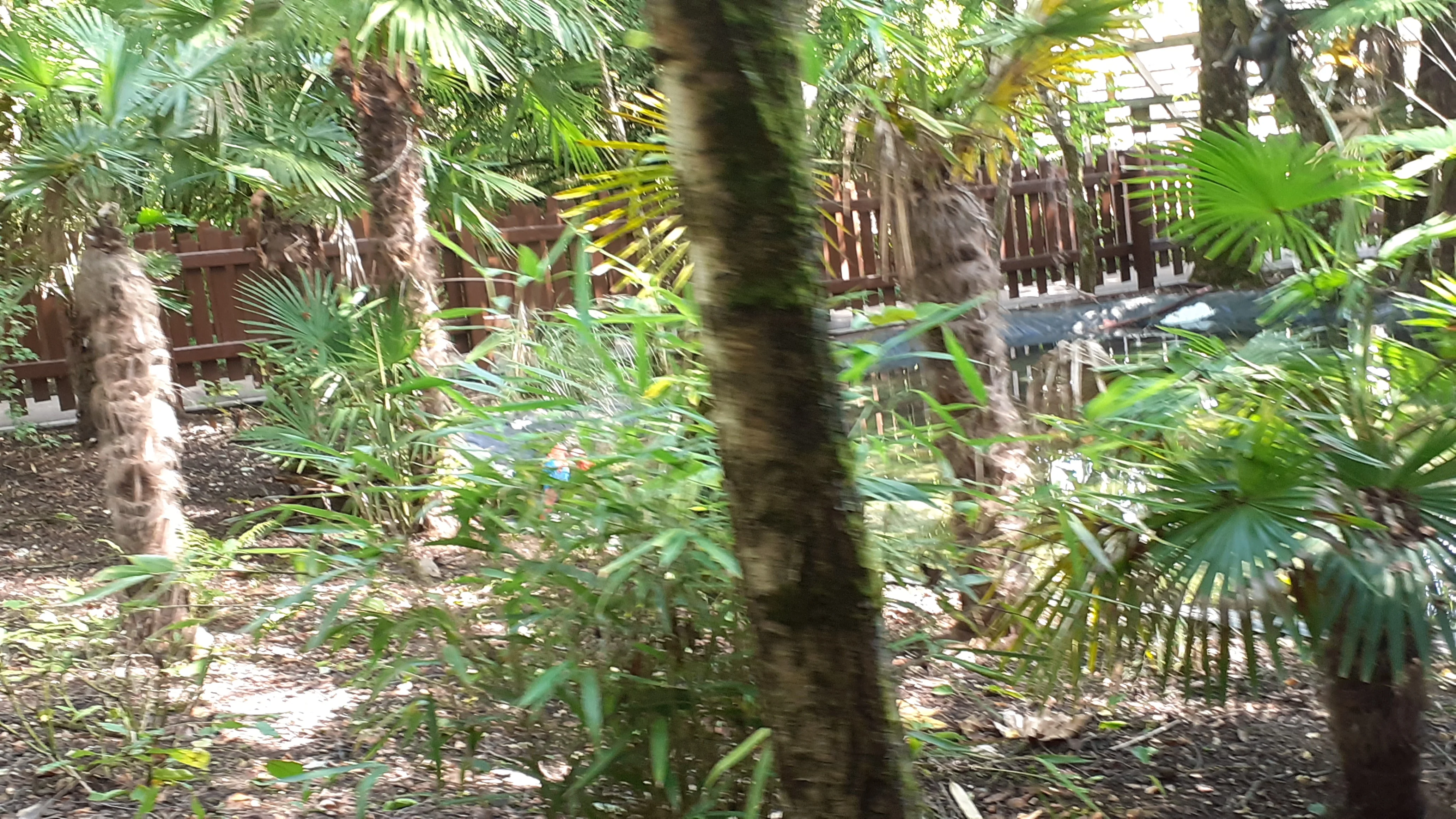 20250725_113839.webp