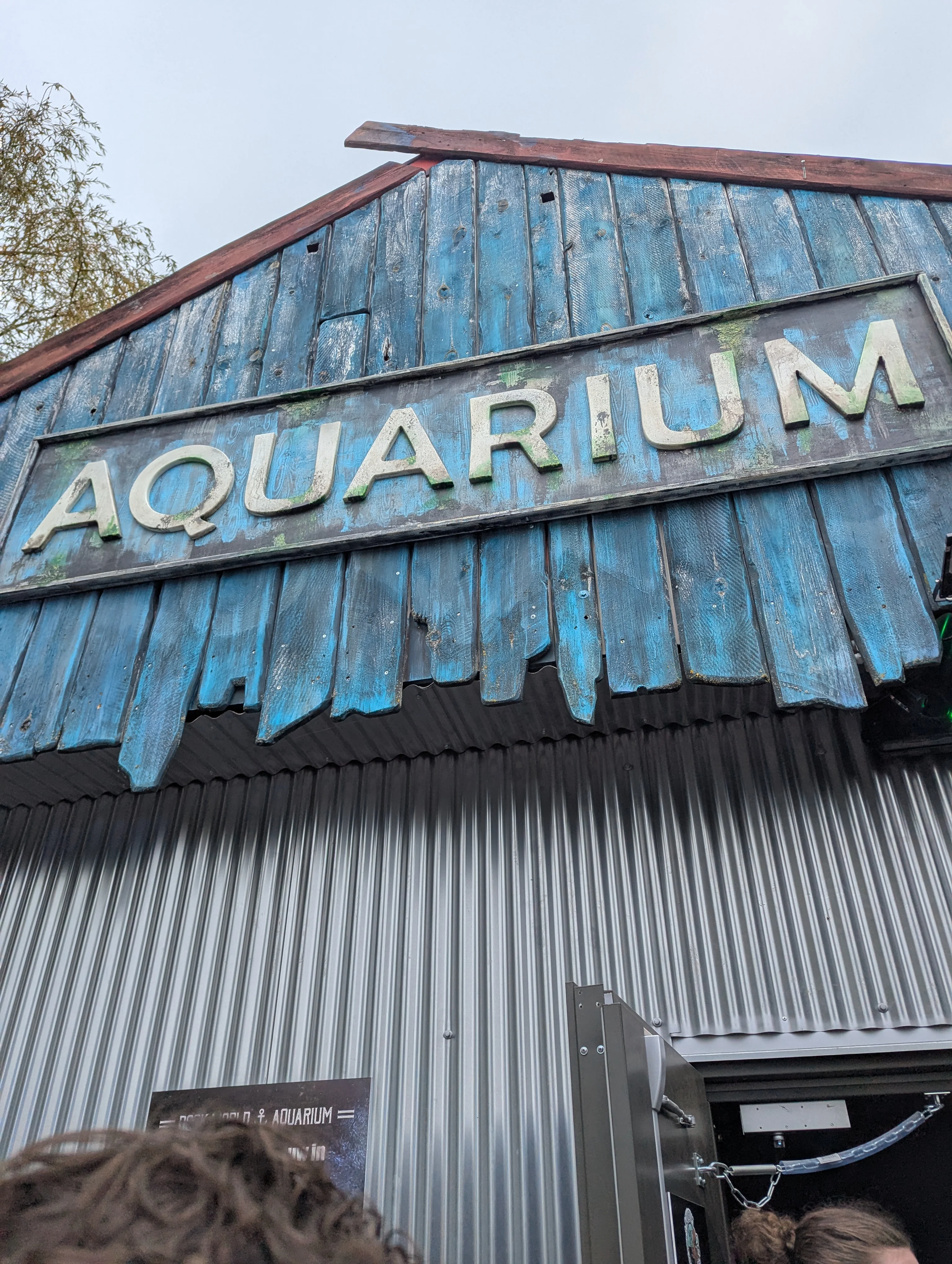 Aqua.webp