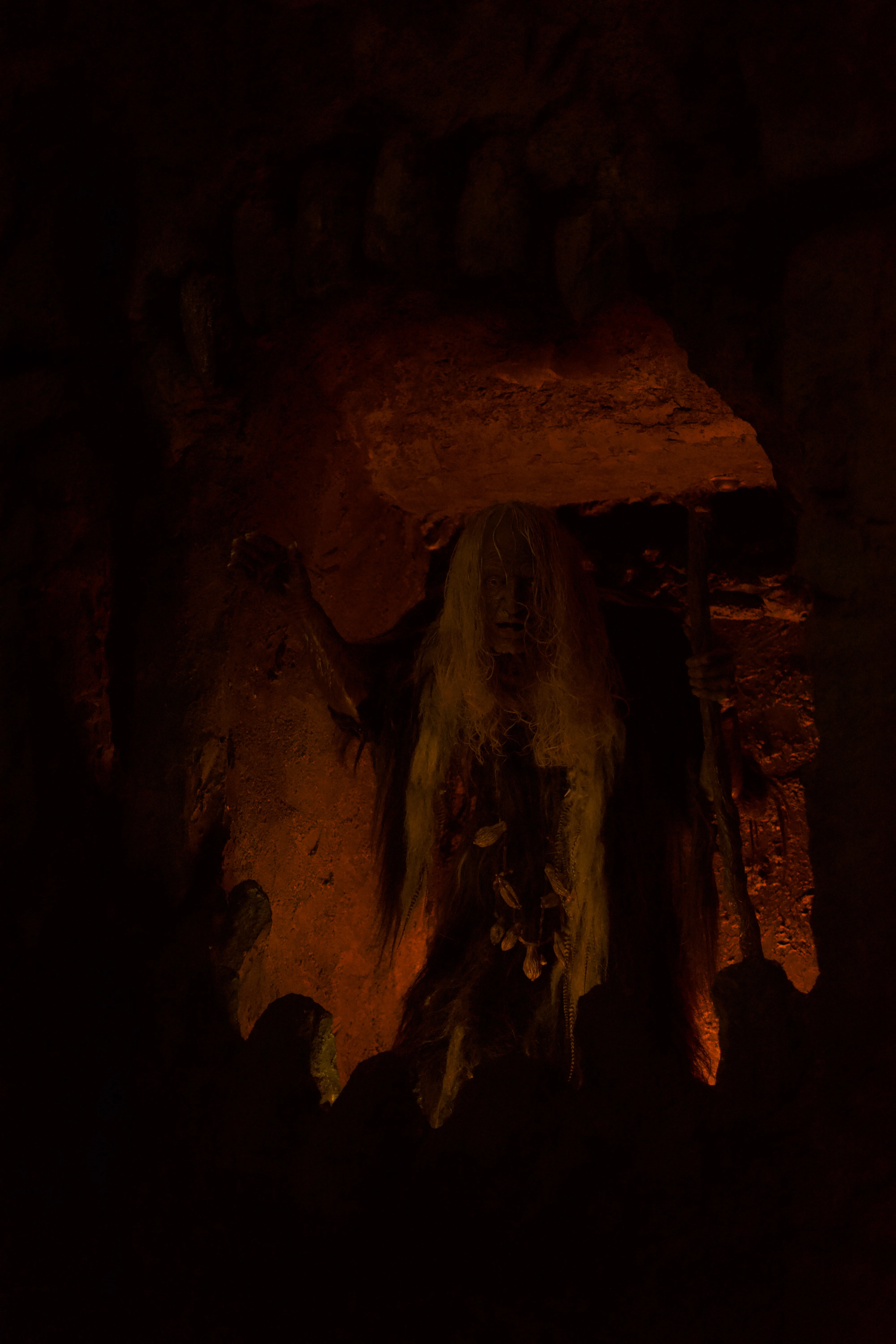 DSC03838.webp