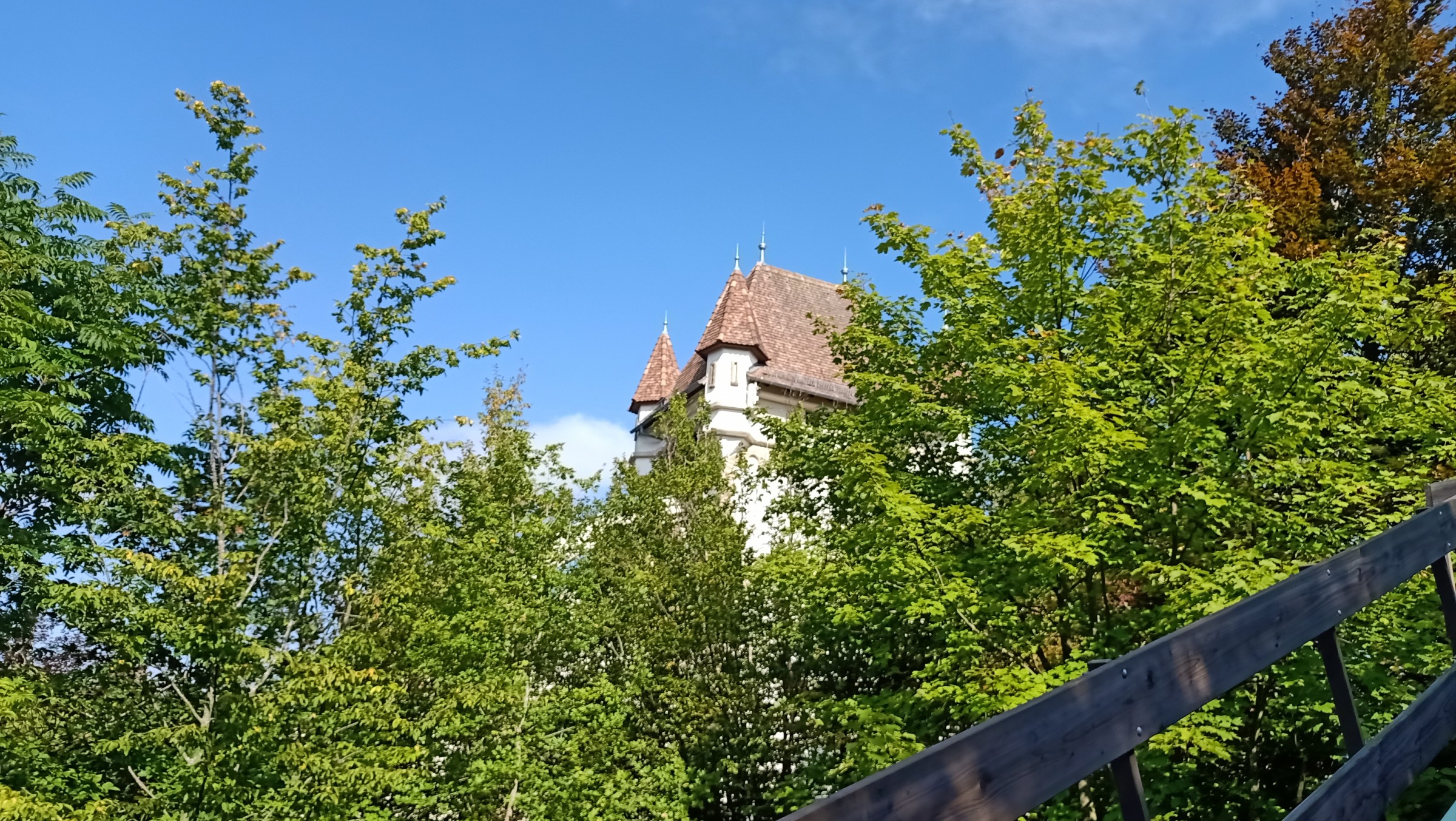 Erlebnispark Tripsdrill 2021 - Le 19 septembre (248).jpg