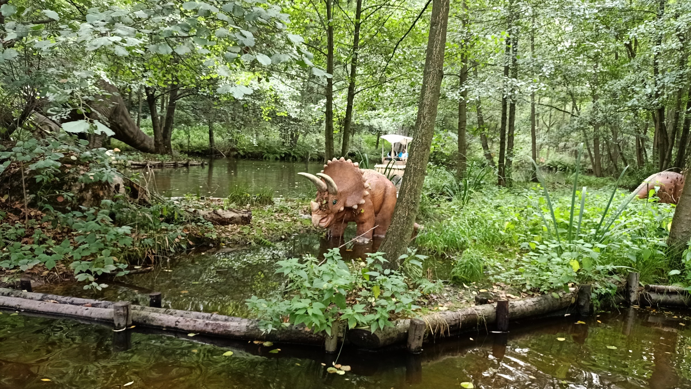 Freizeitpark Plohn 2021 - Le 17 septembre (76).jpg