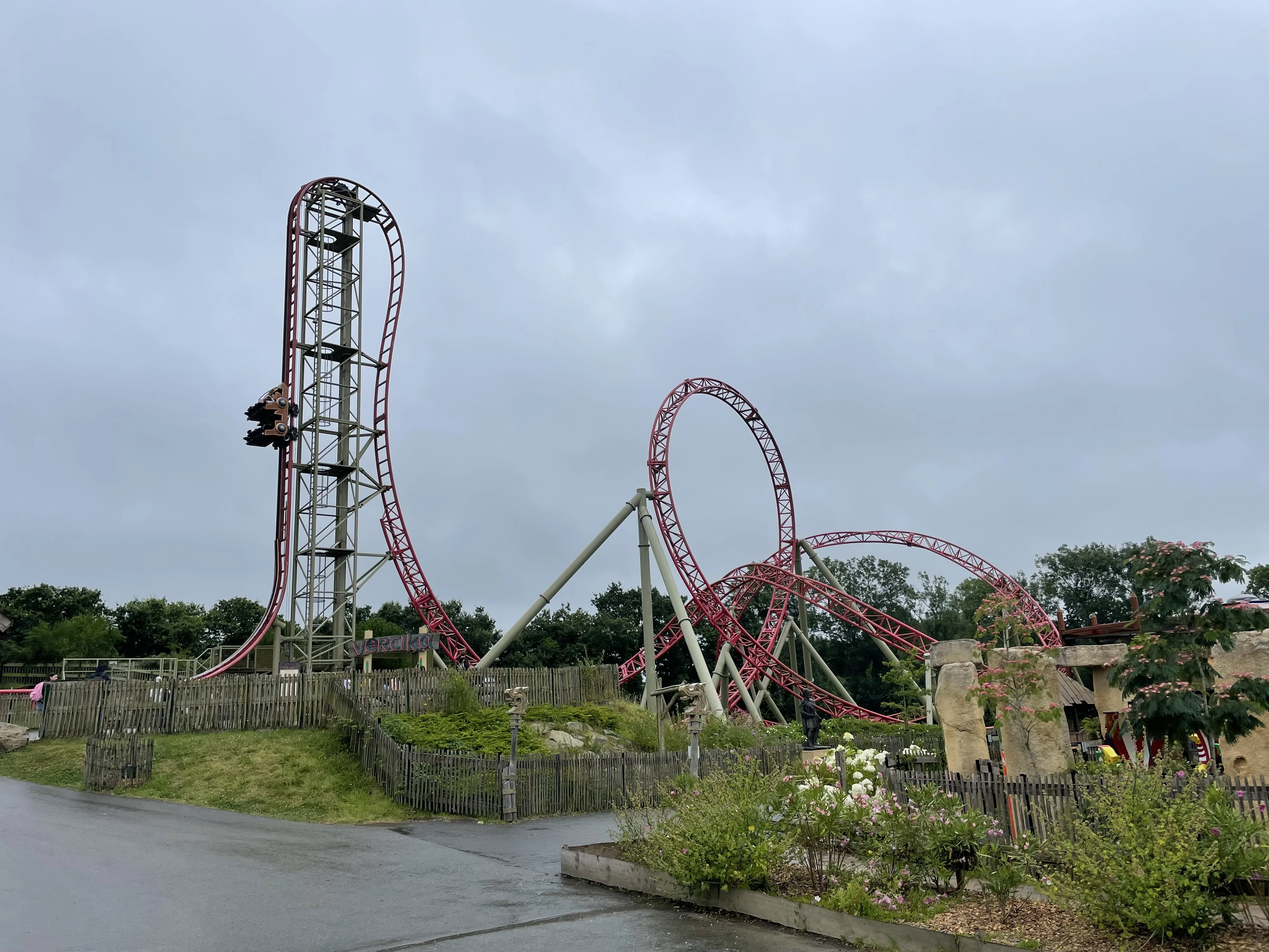 IMG_1390.webp