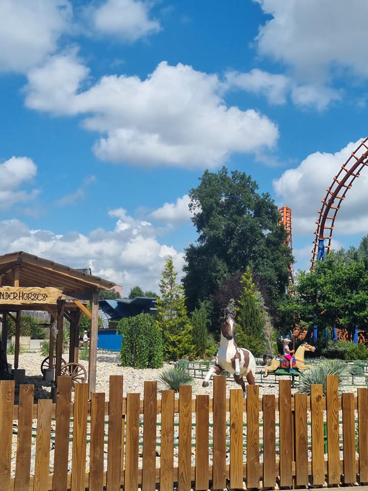 parc 5.jpg