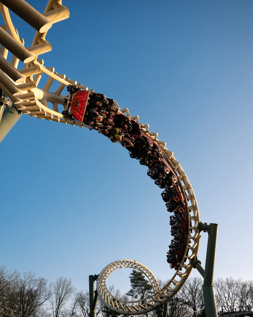 Python vortex corkscrew-2-2.webp